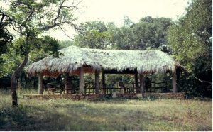 Picture of Hill House in the 1960’s. Picture was taken by John Ward, a Quaker from Britain was teaching at Prempeh College in Kumasi.