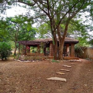 After the bulldozing part of Hill House, with support of friends we were able to add a pergola at the front of the shed to accommodate more visitors.